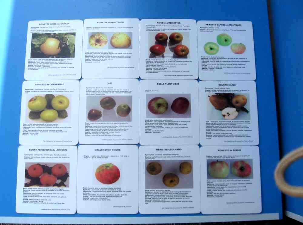 plaque arboretum fruit